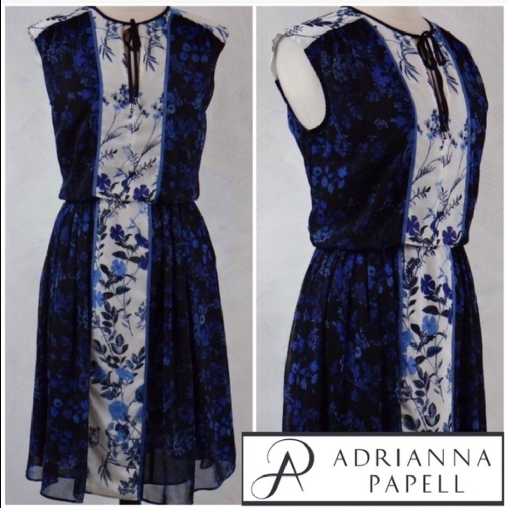 Adrianna Papell Floral Chiffon Dress